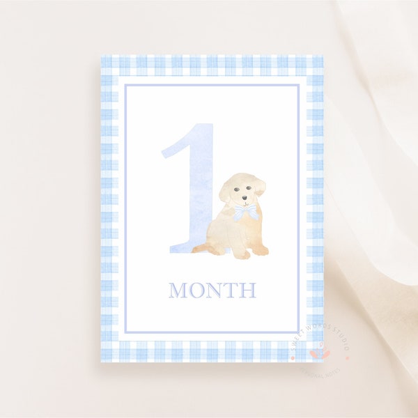 Puppy Baby Milestone Cards, Boy Monthly Milestone, Set of 16 Cards, Blue Gingham, Boy Baby Shower Gift, Baby Memories, Instant Download