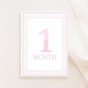 Watercolor Pink Milestone Cards, Girl Monthly Milestone, Set of 16 Cards, Baby Shower Gift, Baby Memories, Welcome Baby, Instant Download