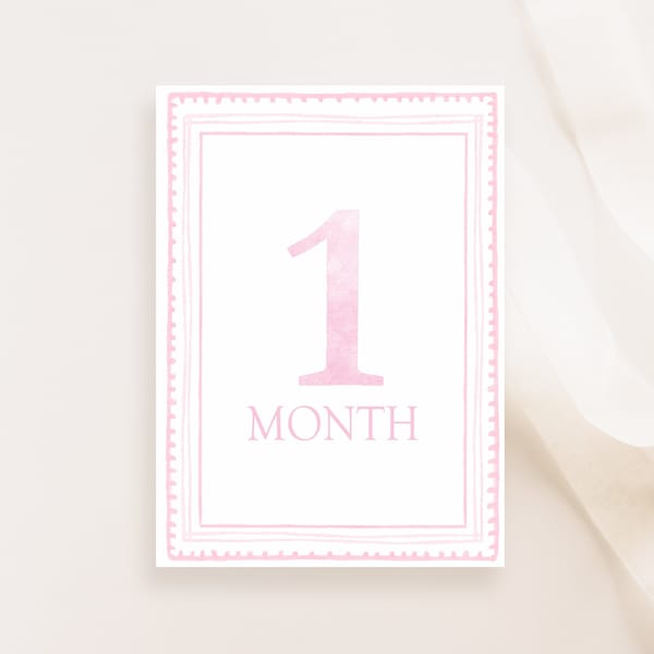 Watercolor Pink Milestone Cards, Girl Monthly Milestone, Set of 16 Cards, Baby Shower Gift, Baby Memories, Welcome Baby, Instant Download