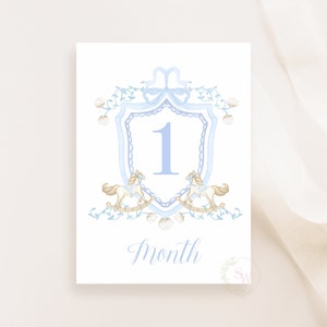 Jeu de 16 cartes, cheval à bascule mensuel, cadeau de baby shower, souvenirs de bébé, cartes jalons Blue Crest, téléchargement immédiat