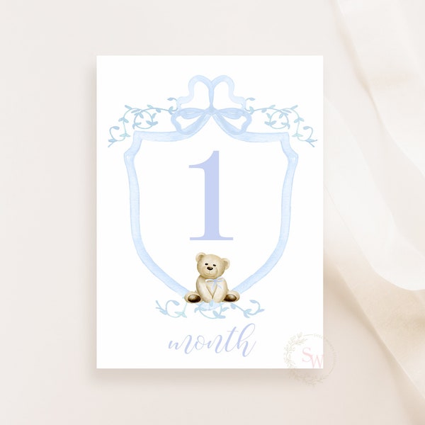 Teddy Bear Monthly Milestone Cards, Boy Milestone Cards, Baby Shower Gift, Baby Memories, Blue Milestone, Baby Photo Prop, Instant Download