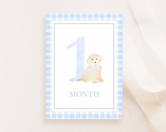 Puppy Baby Milestone Cards, Boy Monthly Milestone, Set of 16 Cards, Blue Gingham, Boy Baby Shower Gift, Baby Memories, Instant Download