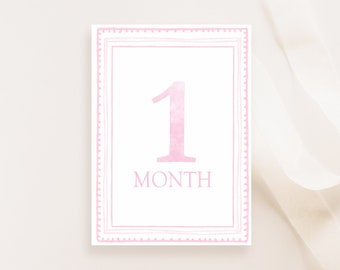 Watercolor Pink Milestone Cards, Girl Monthly Milestone, Set of 16 Cards, Baby Shower Gift, Baby Memories, Welcome Baby, Instant Download