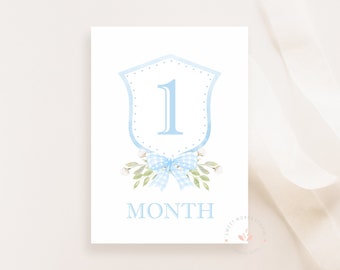 Blue Crest Milestone Cards, Boy Monthly Milestone, Set of 16 Cards, Blue Gingham, Boy Baby Shower Gift, Baby Memories, Instant Download