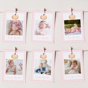 Pink Gingham Pumpkin First Year Photo Banner, Monthly Milestone Photo Cards, Fall Milestone Photo Banner, Girl 1st Birthday, Editable, FGB