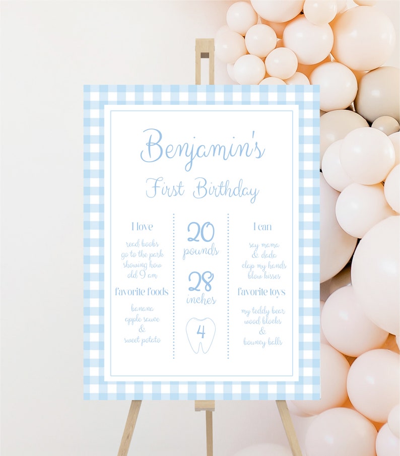 Boy First Birthday Milestone Sign, Blue Gingham Party, Boy 1st Birthday ...