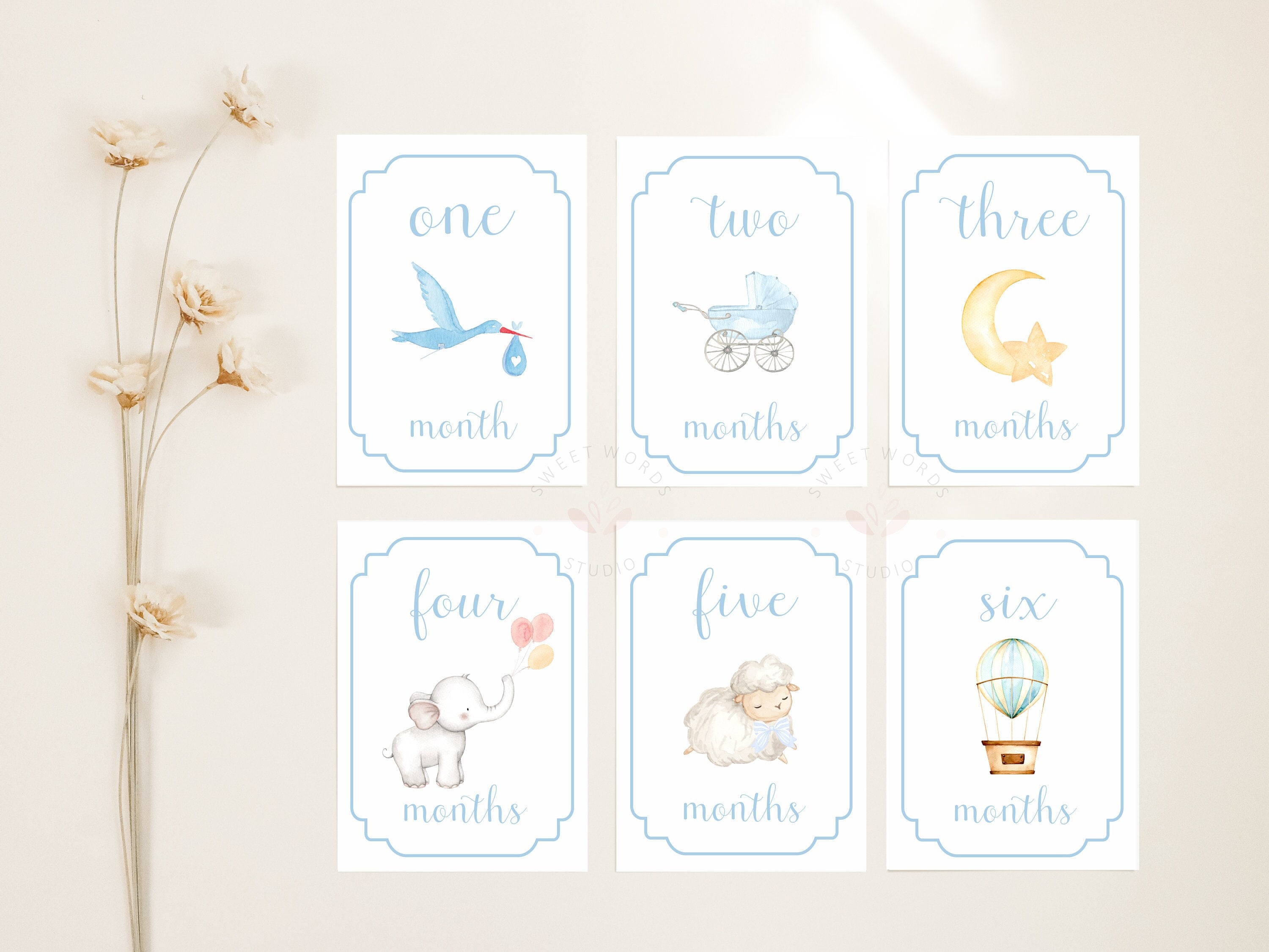 Boy Milestone Cards, Baby Month Cards, Blue Monthly Milestone Cards ...