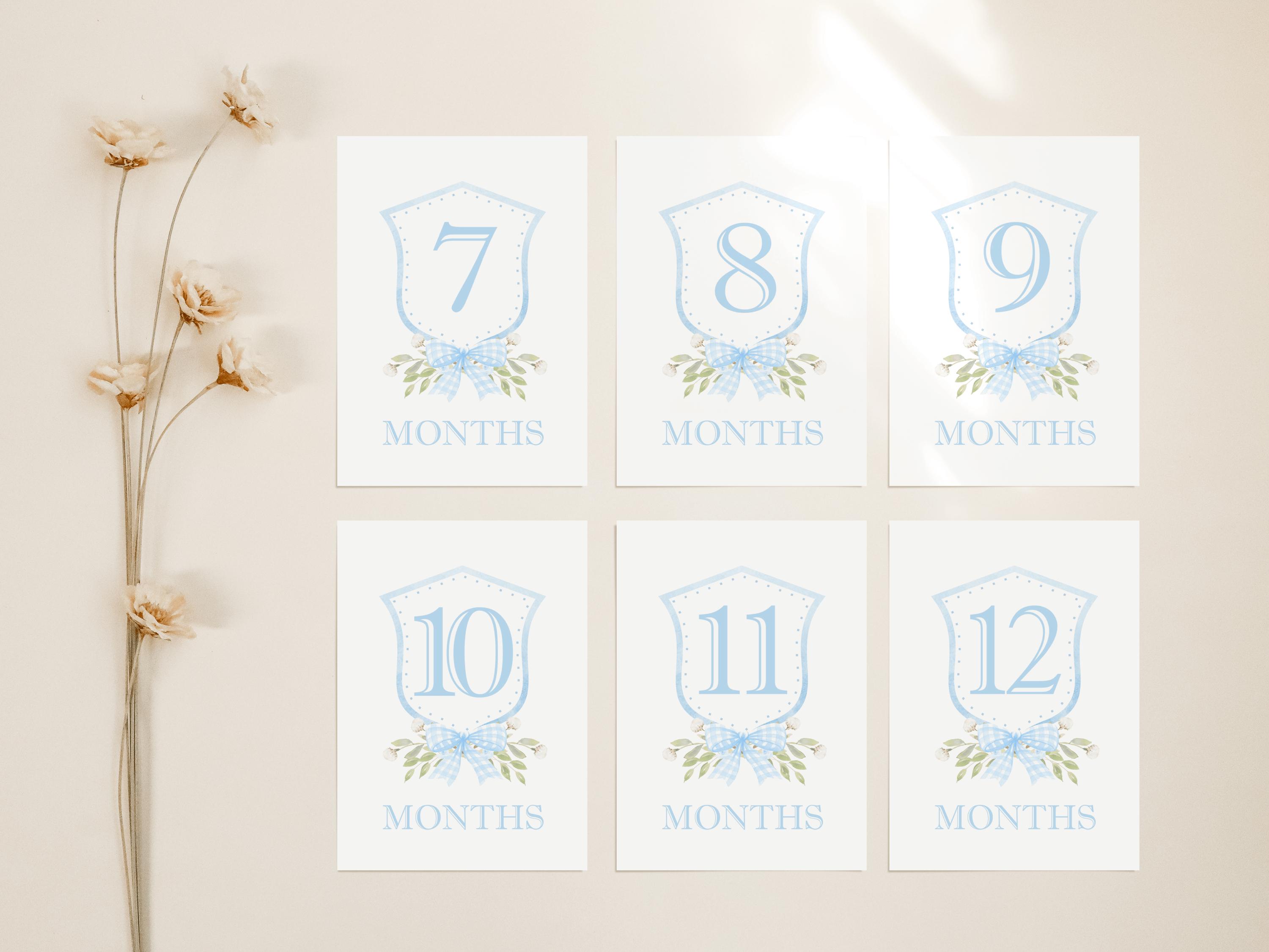 Baby Boy Milestone Card Set, Blue Welcome Baby Sign, Monthly Photo ...