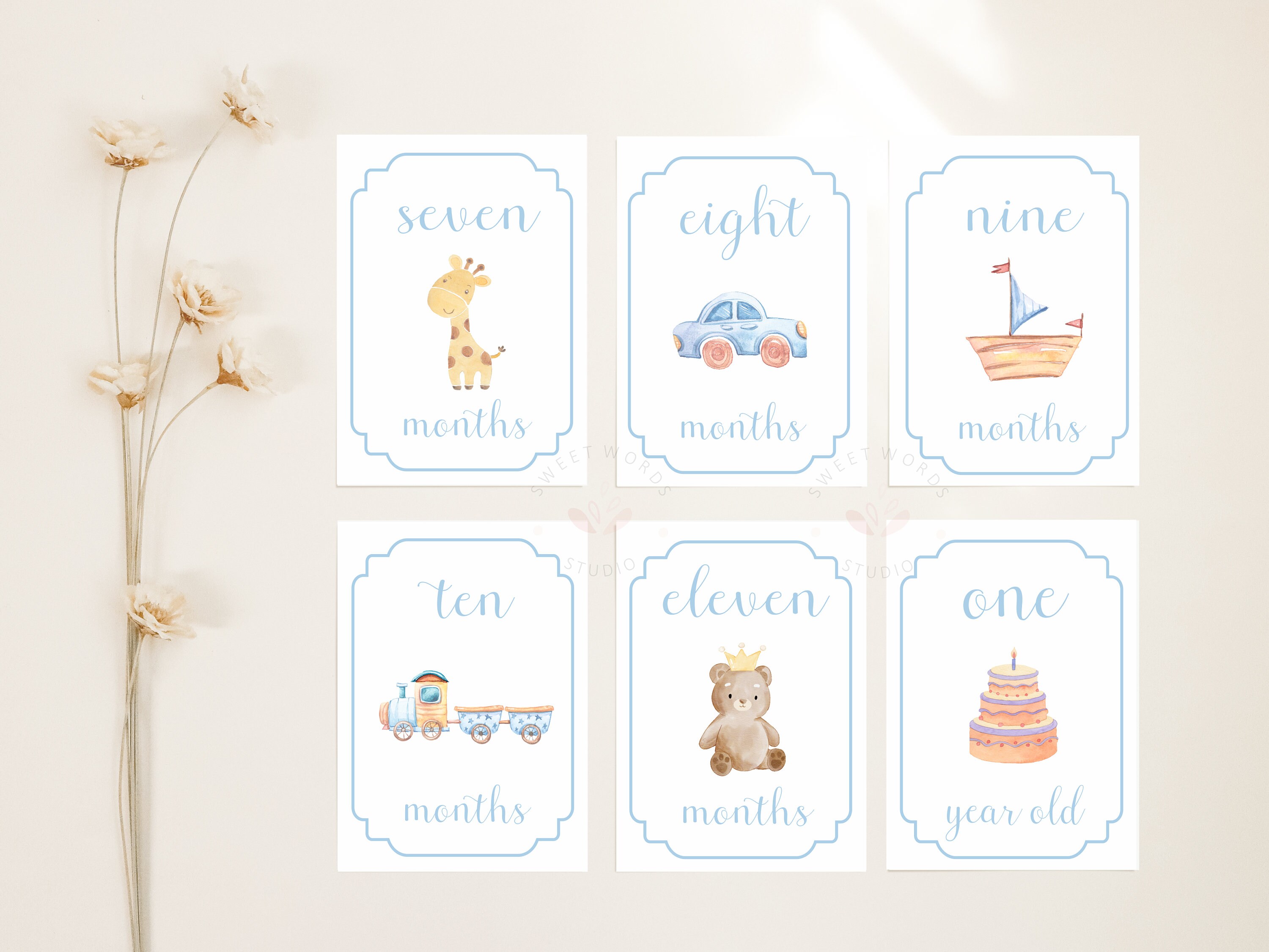 Boy Milestone Cards Baby Month Cards Blue Monthly Milestone - Etsy