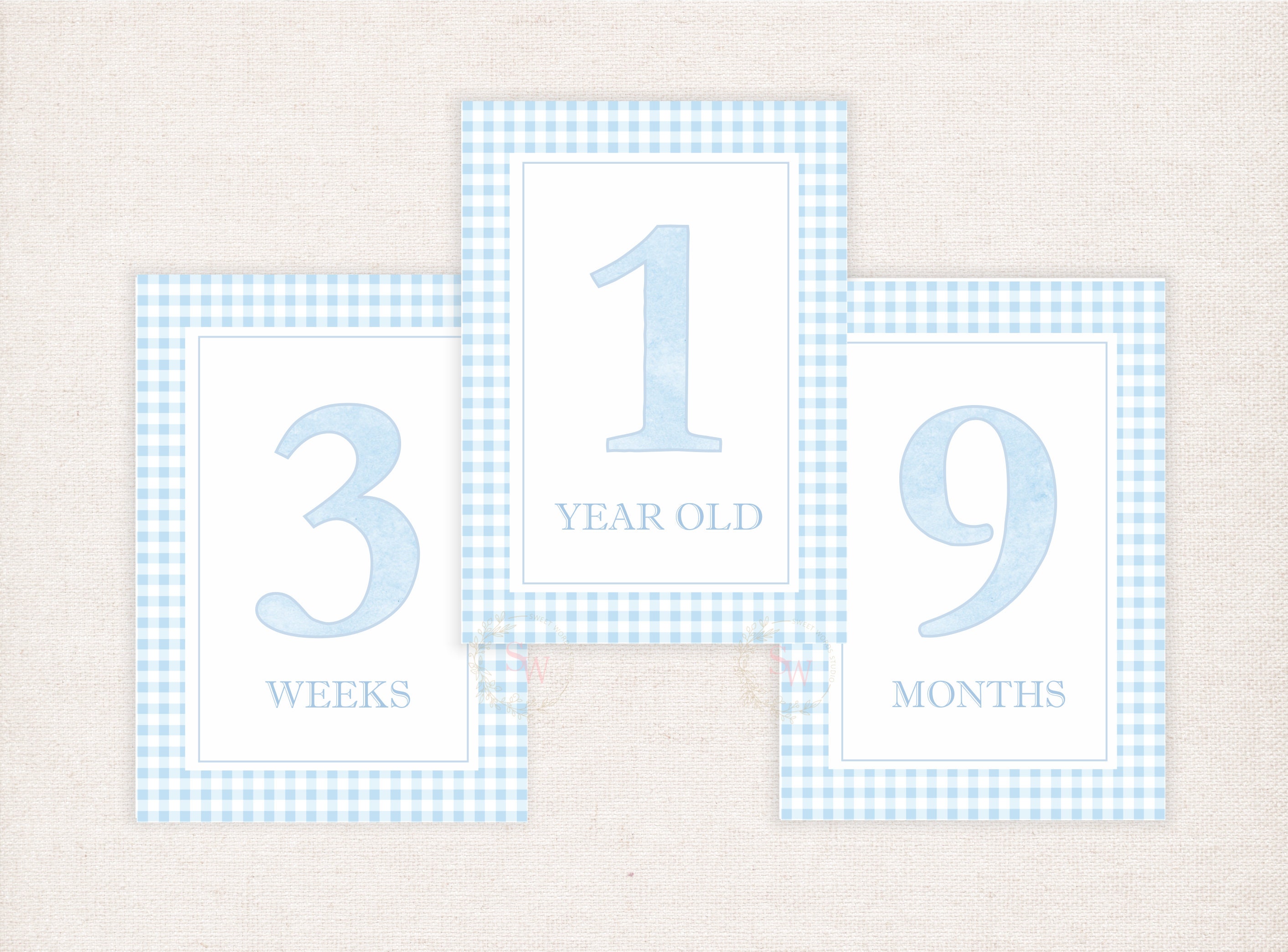 Gingham Milestone Card, Watercolor Baby Boy Milestone Cards, Boy ...