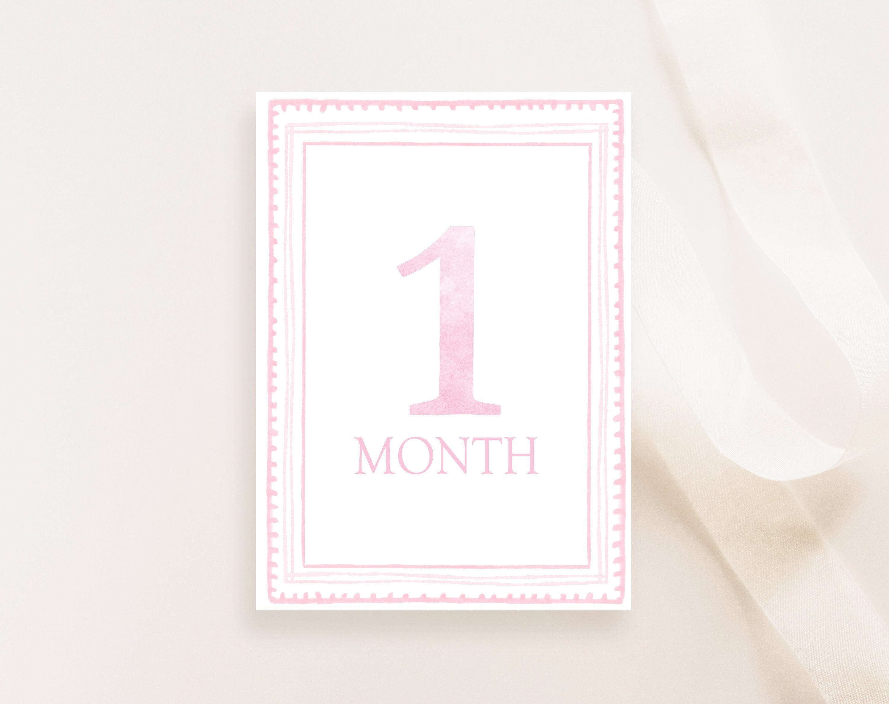 Watercolor Pink Milestone Cards, Girl Monthly Milestone, Set of 16 ...