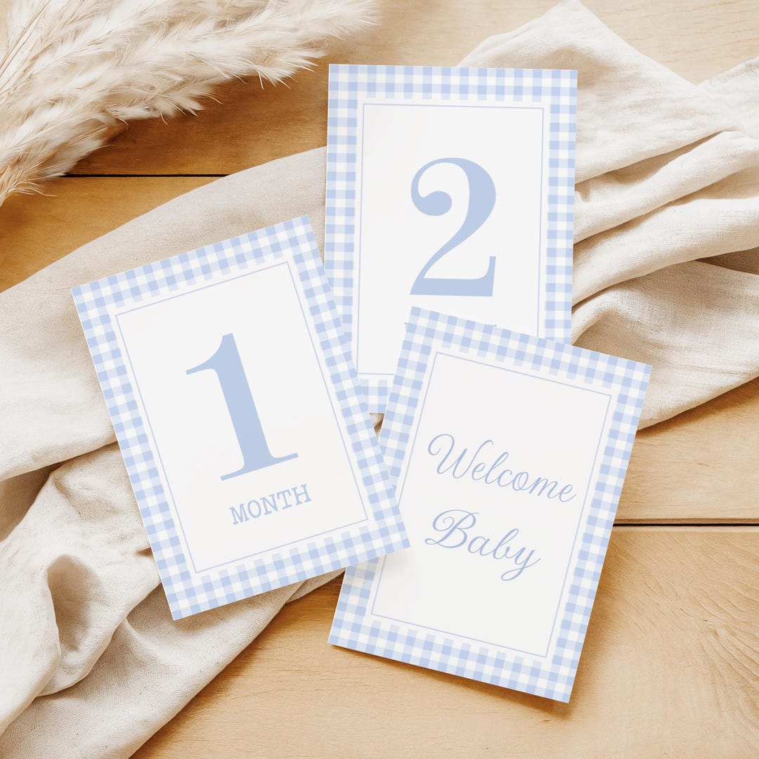 Blue Gingham Milestone Cards Set, Baby Boy Milestone Card, Monthly ...