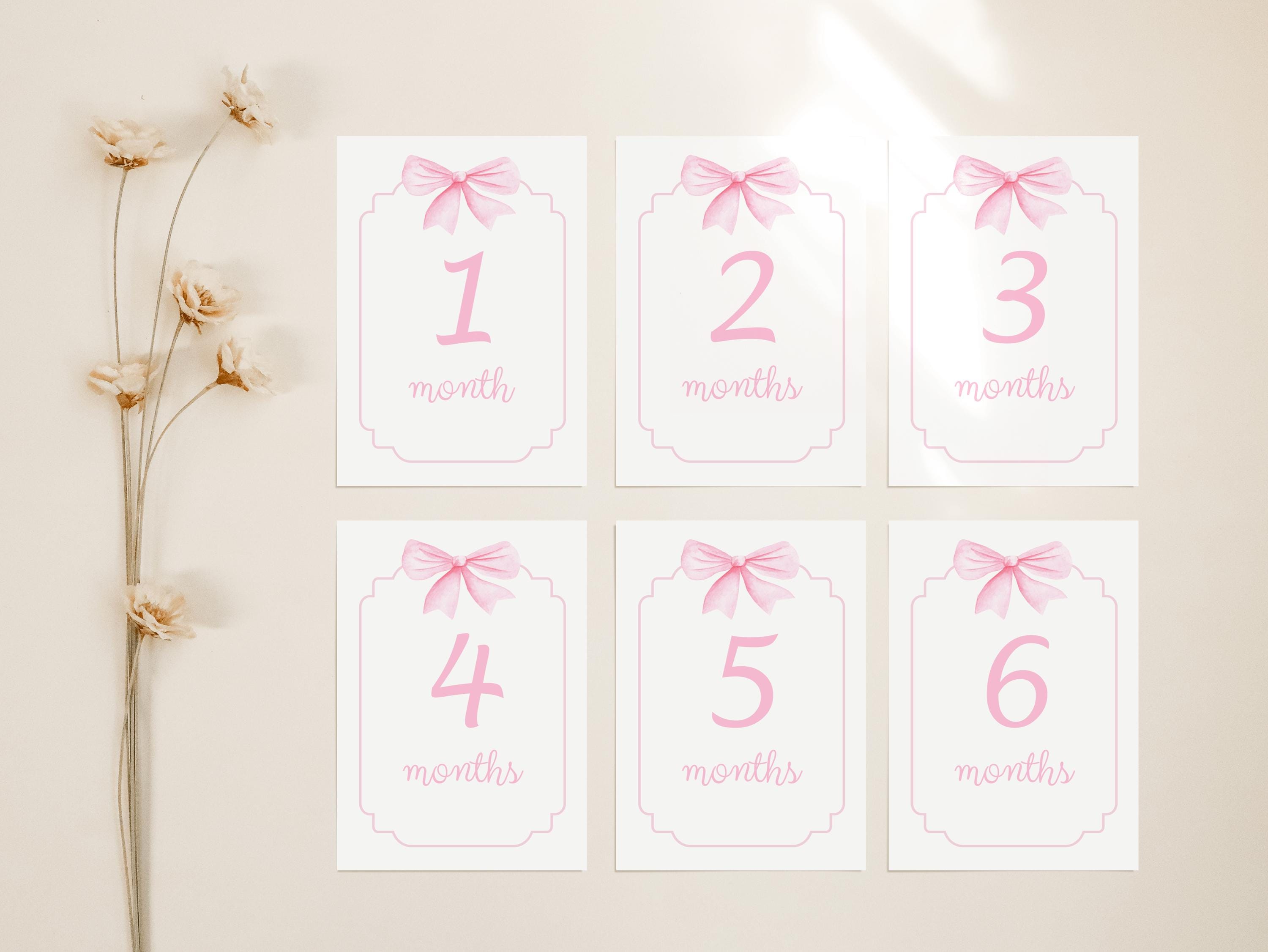 Baby Girl Milestone Cards Set, Pink Bow Monthly Milestones, Baby Shower ...
