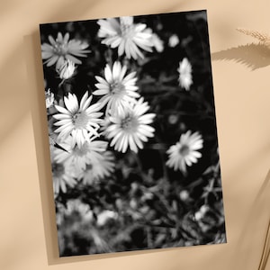 Cartes de voeux en noir et blanc avec fleurs sauvages - Lot de cartes de correspondance vierges pour photographie de nature - Papeterie botanique, lot de 10
