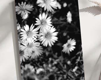 Tarjetas de felicitación con flores silvestres en blanco y negro – Set de tarjetas de notas en blanco para fotografía de naturaleza – Papelería botánica (paquete de 10)