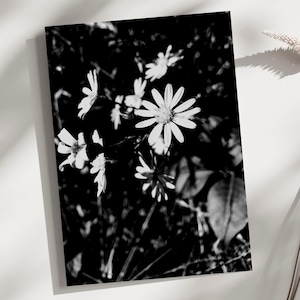 Zwart-witte wenskaarten met wilde bloemen – Set van 10 blanco notitiekaarten voor natuurfotografie – Minimalistische kaartenset met bloemen