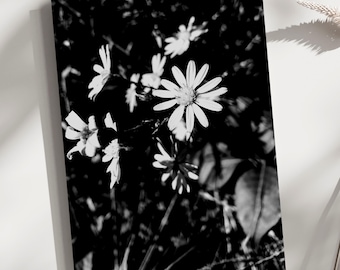 Tarjetas de felicitación con flores silvestres en blanco y negro – Juego de 10 tarjetas con fotografías de naturaleza en blanco – Juego de tarjetas florales minimalistas
