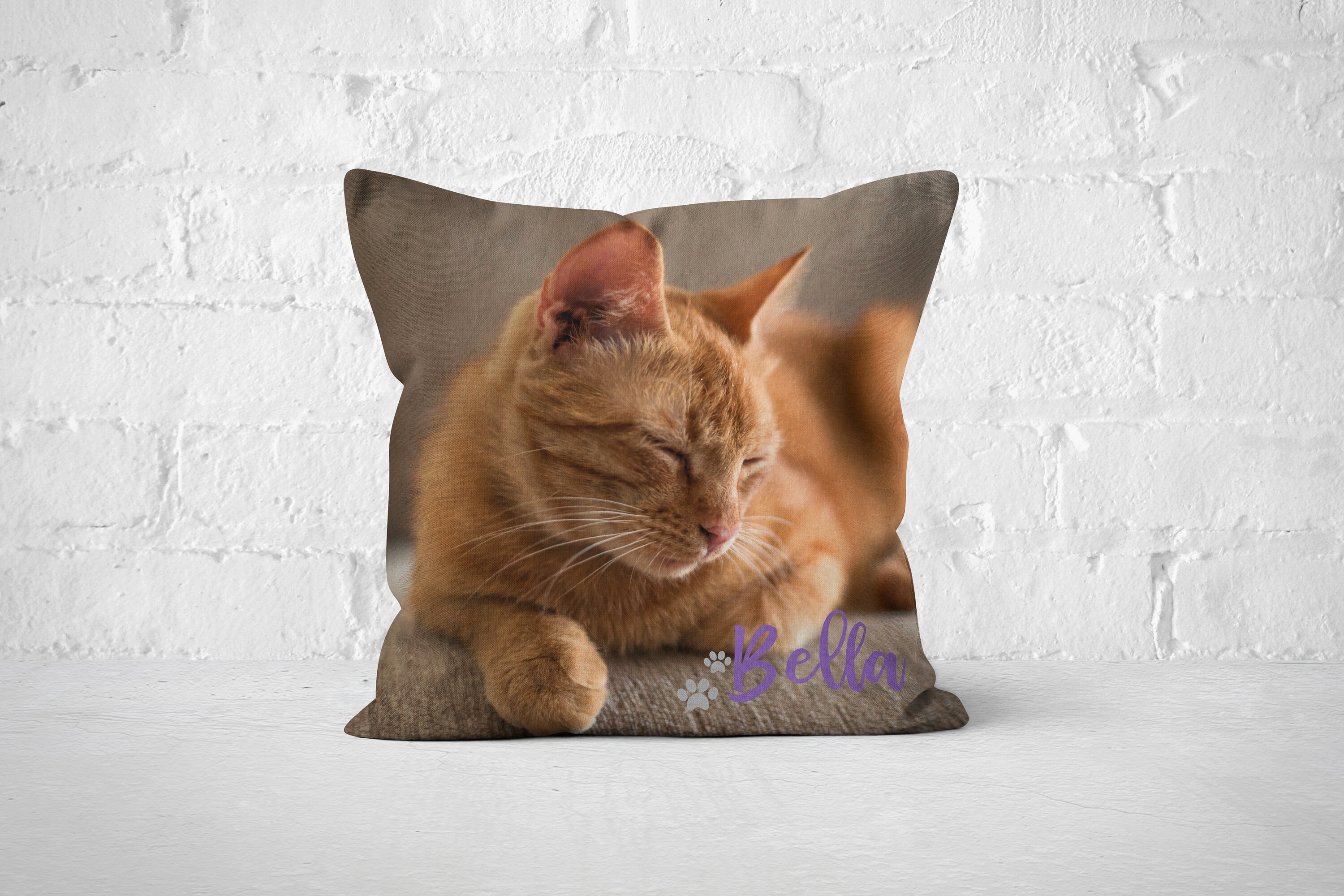Personalized Pet Photo Pillow Pet Throw Pillow Custom Pet Etsy Canada