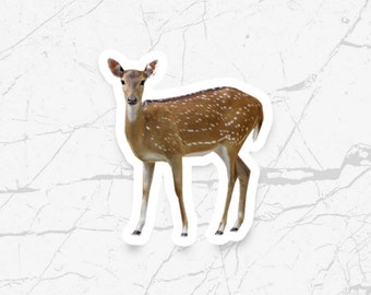 Deer Vinyl Sticker - Etsy