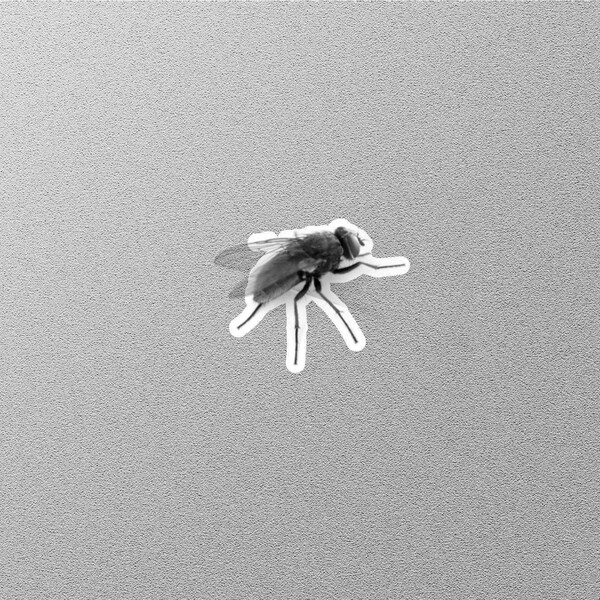 Fly Fishing - Etsy
