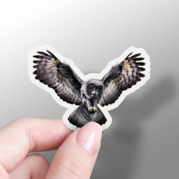 Great Grey Owl Sticker