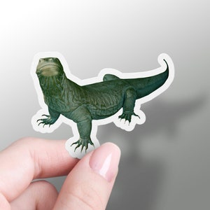 Komodo Dragon Sticker