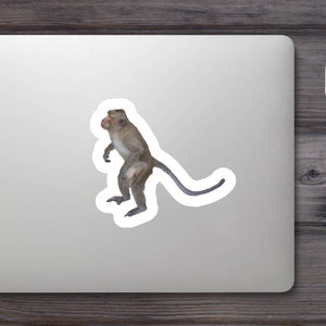 Monkey Sticker image 1