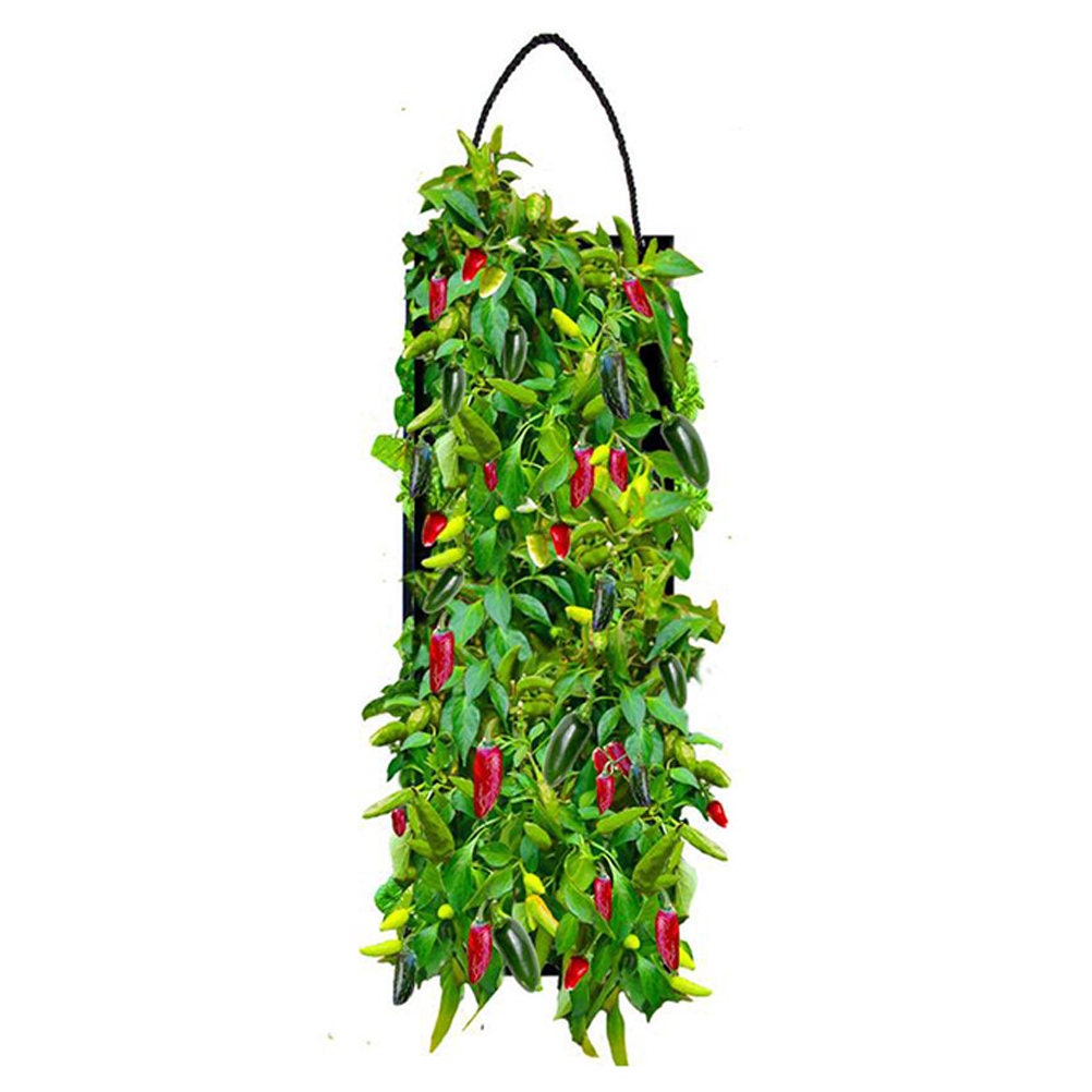 Organic Vertical Hanging Vegetable Seed Garden Planter Grow Etsy