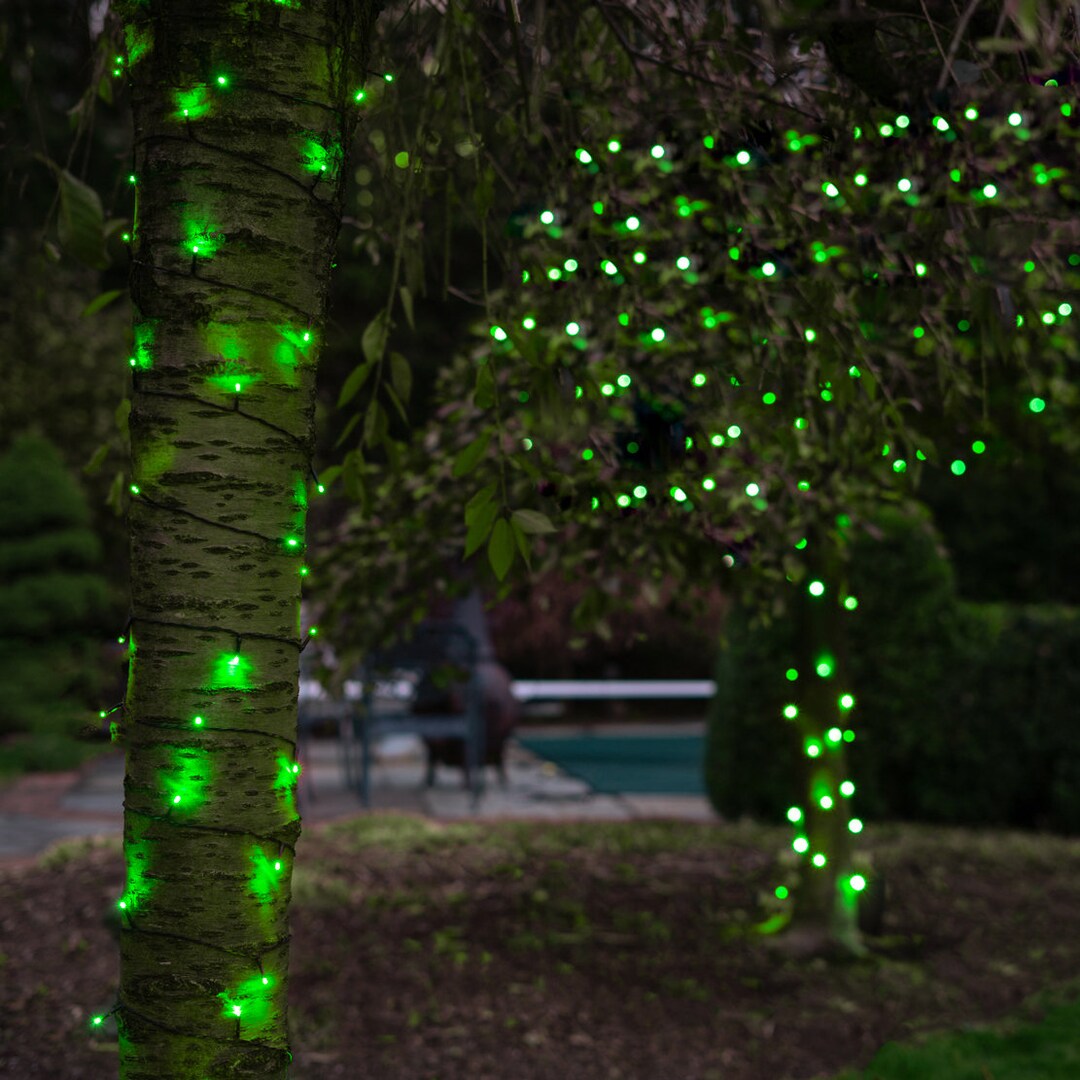 Solar Indoor Outdoor String Lights Green Accent Decor Etsy