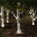 Solar Power Indoor Outdoor LED 125 String Lights - Accent Decor Birthday Party, Christmas, Holiday, Patio, Garden, Wreaths, Fence, Weddings