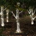 Solar Power Indoor Outdoor LED 125 String Lights - Accent Decor Birthday Party, Christmas, Holiday, Patio, Garden, Wreaths, Fence, Weddings 