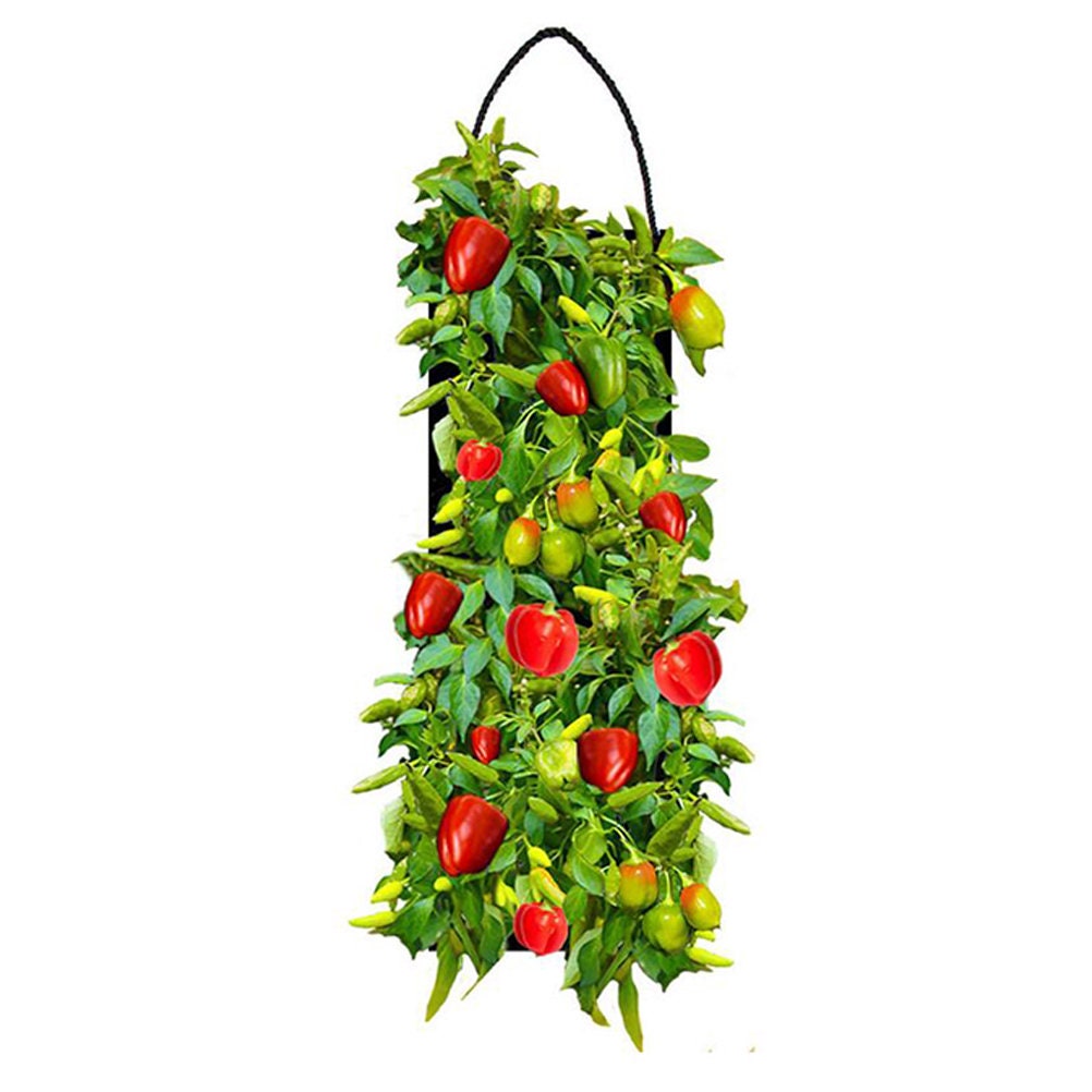 Organic Vertical Hanging Vegetable Seed Garden Planter Grow Etsy