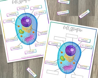 IB MYP Science Summative Assessment Cells - Etsy Canada