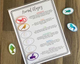 Animal Classes - Classification - Science STEM - Preschool Learning - Busy Book Activity - First Grade Teacher Aid - Printable Puzzle