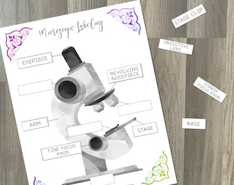 Microscope Labeling - Science STEM Learning Activity - Printable Homeschool Worksheet - Biology Microbiology - Busy Binder Workbook Kids