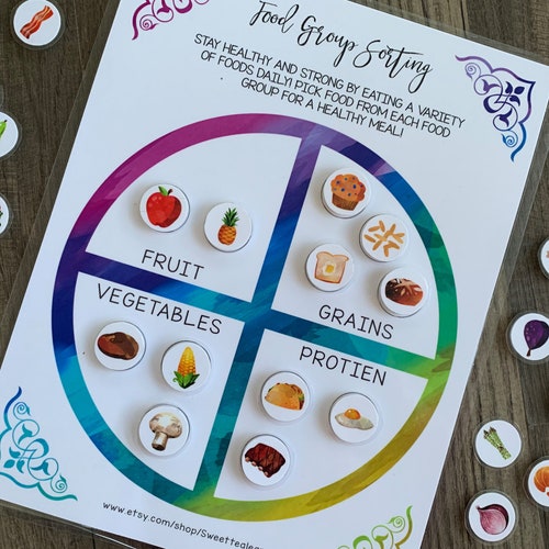 Food Group Sorting Game Preschool Homeschool Activity Busy Etsy
