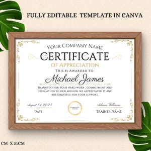 Editable Certificate of Appreciation Template | Customizable Canva Design | Printable Appreciation Award for Recognition and Achievement