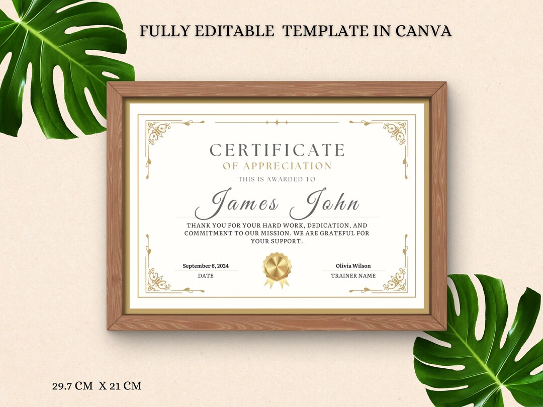 Editable Certificate of Appreciation Template | Fully Customizable ...