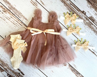 First Birthday Dress | 1st Birthday Dress | Girls Party Dress | Princess Dress | Baby Party Dress | Baby Girl Birthday Dresses | Baby Crown