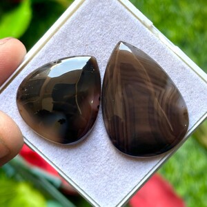 May include: Two polished gemstones with a dark brown and black color scheme. One is a rounded shape, the other is teardrop-shaped. The stones are displayed in a white square box with a gray interior, against a blurred green and red background.