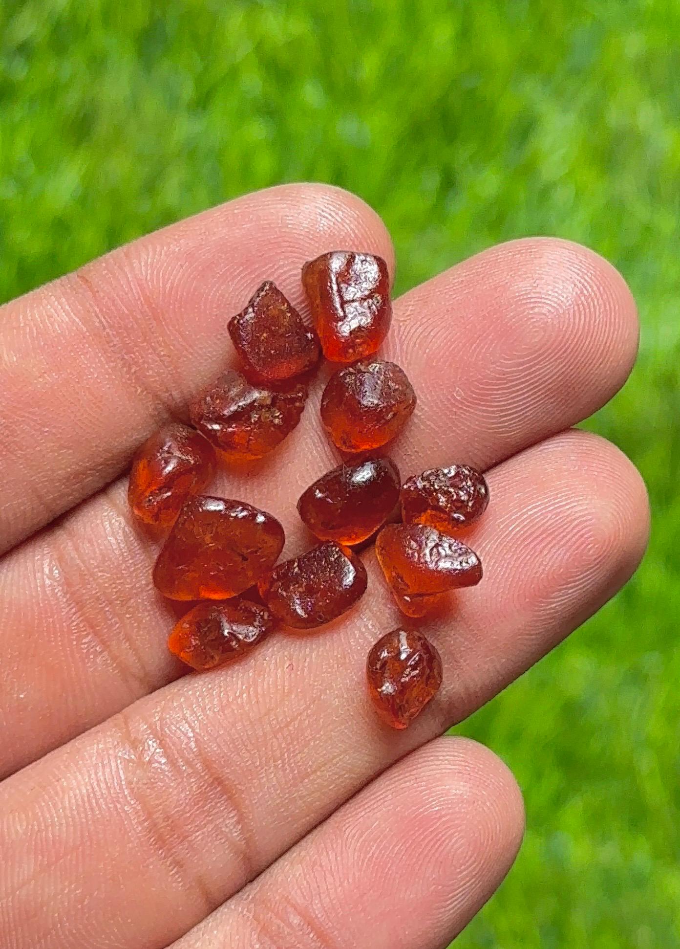 GARNET actof tragedySugar SINA殊Moran GARNET actof tragedySugar SINA殊Moran Garnet Gemstone | Garnet