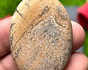 May include: Oval-shaped, polished stone with a tan and brown mottled pattern. The stone has dark, linear markings and a speckled texture, with a smooth, rounded surface. The stone is held in a hand.