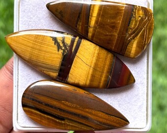 Tiger Eye Cabochon Set – Golden Brown Polished Gemstones, Jewelry Making
