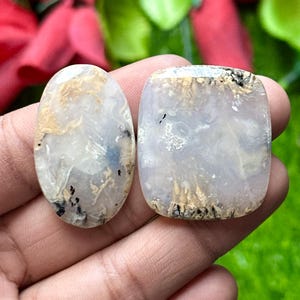 May include: Two polished gemstones with a mix of white, tan, and black inclusions. One is oval, the other is rectangular with rounded corners. The stones are held in a hand, with a blurred background of red and green.