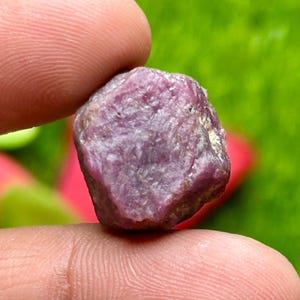 Roh Rubin 20 x 19 mm 48.30ct Natürlicher Rohedelstein Rot