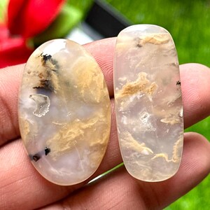 May include: Two polished gemstones with a translucent appearance. One is oval, the other rectangular, both displaying beige and brown patterns. The stones are held in a hand against a blurred green background, with a red flower visible.