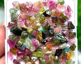 Könnte beinhalten: Eine Sammlung roher, farbenfroher Turmalin-Edelsteine in einem kleinen weißen Kunststoffbehälter. Die Edelsteine sind eine Mischung aus rosa, grünen, braunen und klaren Kristallen. Der Behälter wird in einer Hand gehalten, mit einem verschwommenen grünen Hintergrund.