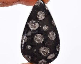 Fabulous Top Quality 100/% Natural Black Fossil Coral Oval Shape Cabochon Loose Gemstone For Making Jewelry 59 Ct 37X27X7 mm J-3860