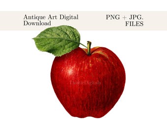 May include: A digital download of an antique art print featuring a vibrant red apple with a green leaf. The image includes the text "Antique Art Digital Download" and "PNG + JPG FILES". The artist's name, "Thistle Digitals", is also visible.