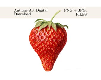 May include: A detailed illustration of a ripe strawberry, showcasing vibrant red hues and a textured surface. The strawberry has green leaves and stem. Text reads "Antique Art Digital Download" and "PNG + JPG FILES".